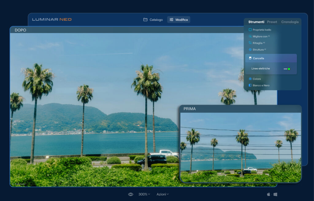 Luminar Neo line remover example for cleaning distractions
