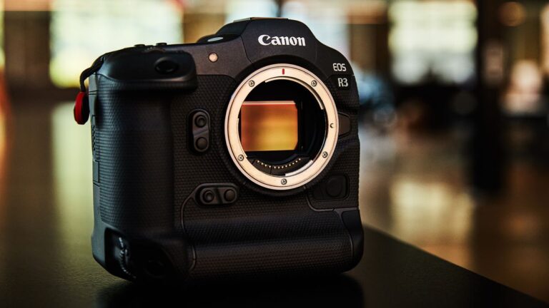 Canon S Pro Grade Eos R3 - Matteo Angeloni fotografia